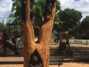 Chain saw carving of three black bears climbing and playing in a tree